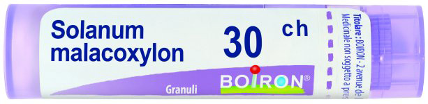 SOLANUM MALACOXYLON*GRAN 30CH — confronto prezzi