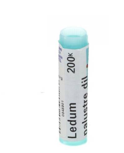 LEDUM PALUSTRE 200K GL — confronto prezzi
