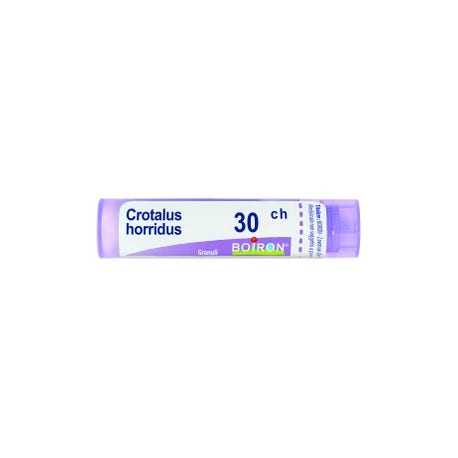 BO.CROTALLUS HORRI 30CH GR — confronto prezzi