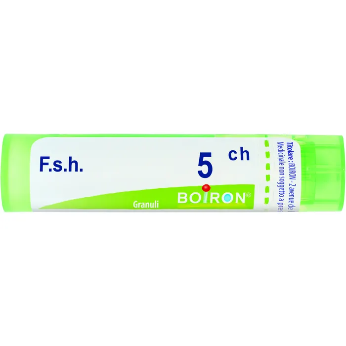 BO.FSH 5CH GR — confronto prezzi