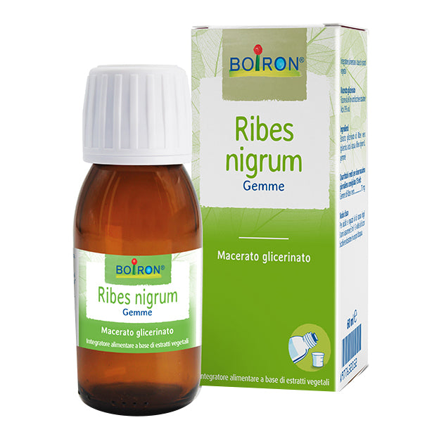 Ribes nigrum 7ch gr — confronto prezzi
