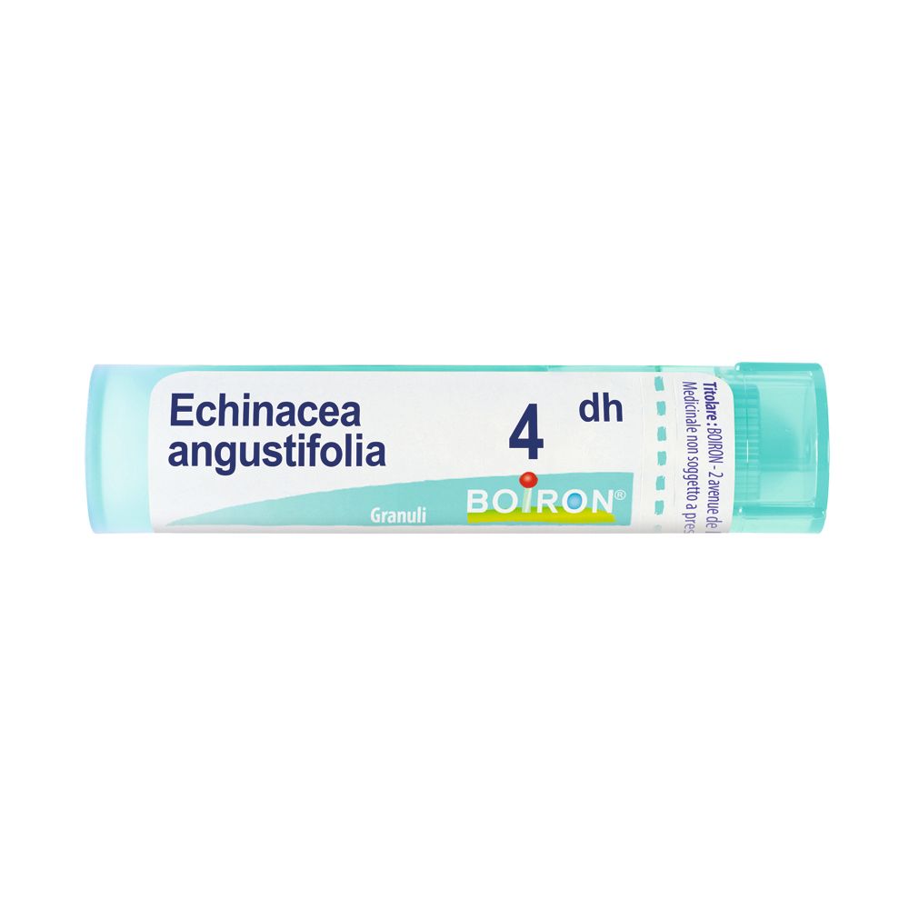 ECHINACEA ANGUST 4DH GR — confronto prezzi