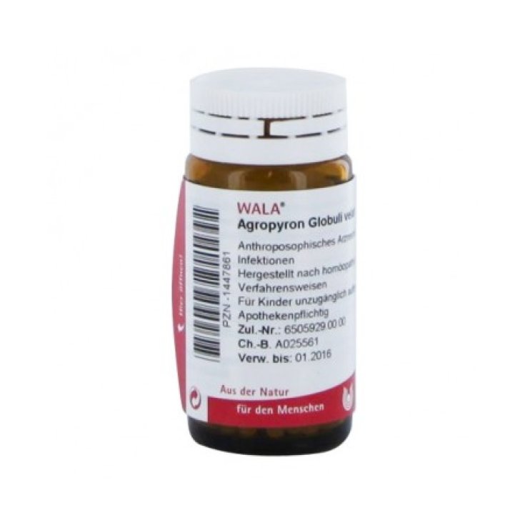 Wala Agropyron Compositum - Globuli omeopatici per l'infiammazione, 20g