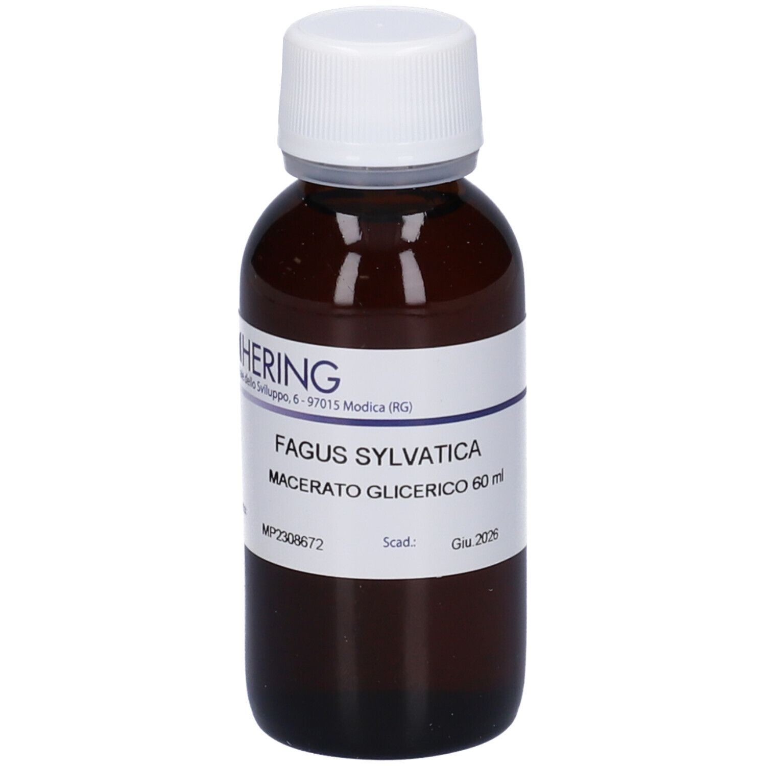 FAGUS SYLVATICA GEMME HRI*MG 60ML