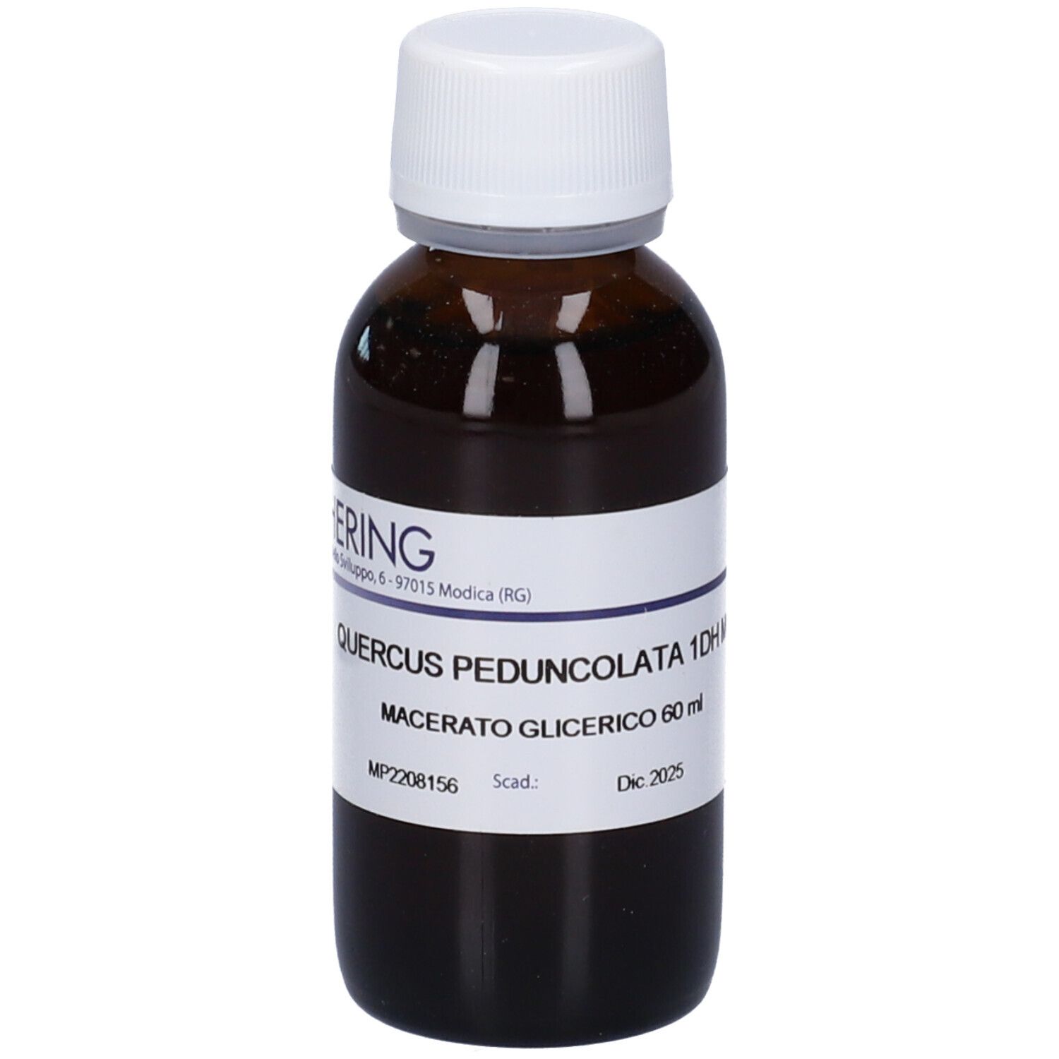 QUERCUS PEDUNC GEMME 60ML MG