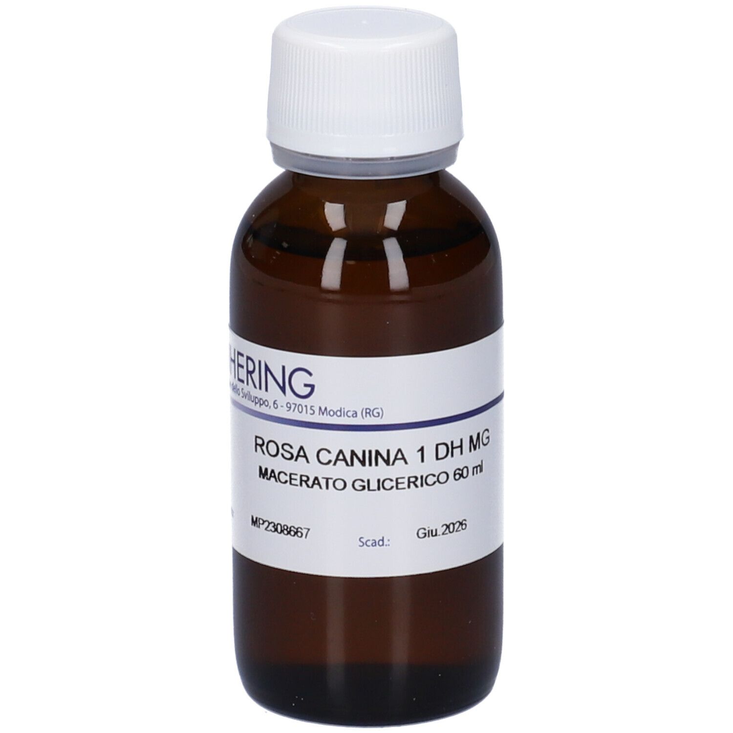 ROSA CANINA GERMOGLI 60ML MG