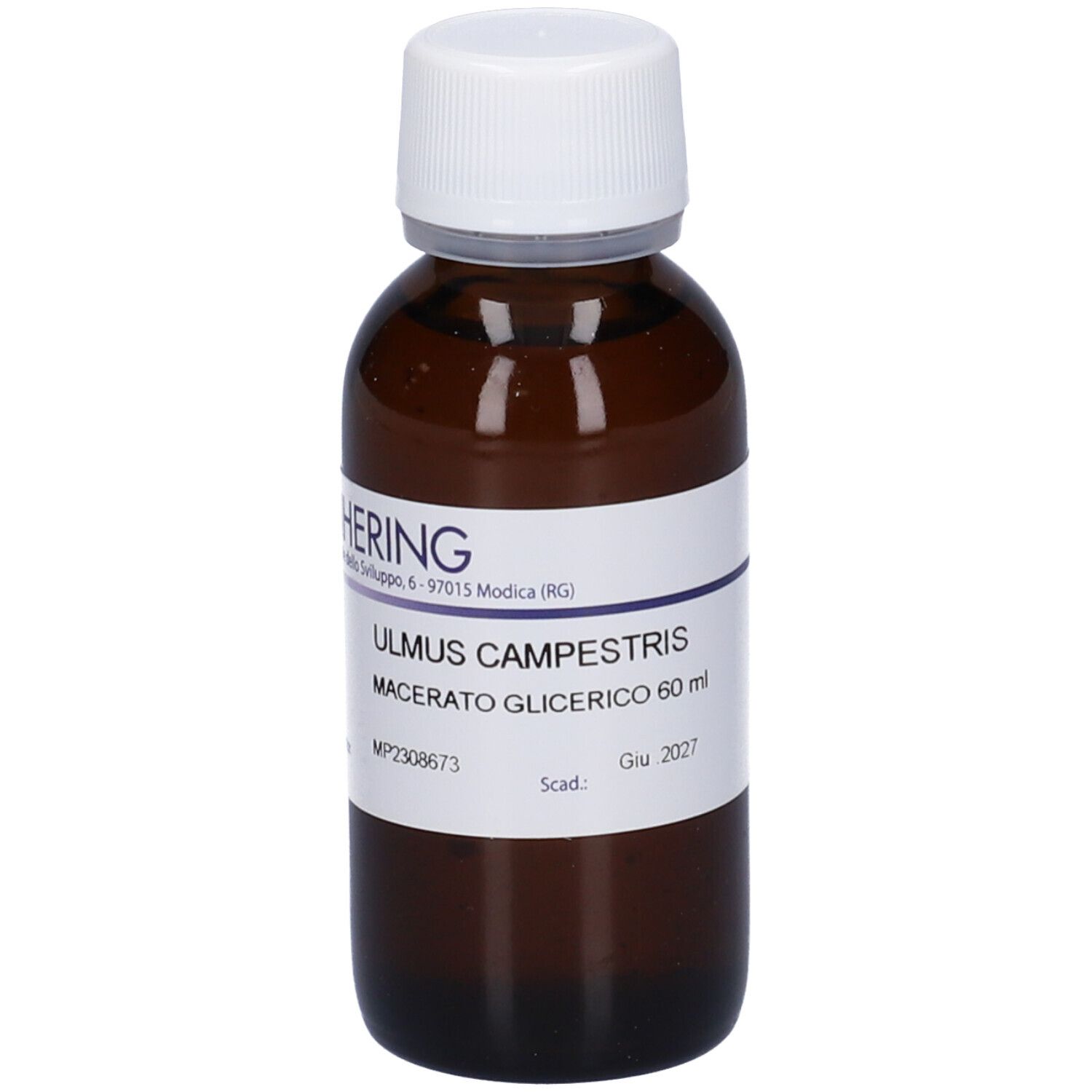 ULMUS CAMPESTRIS GEMME HRI*MG 60ML