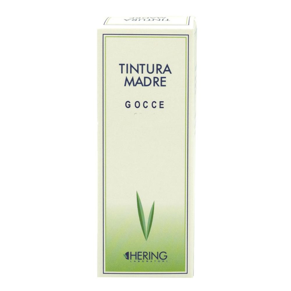 Ginkgo biloba 125 ml tintura madre