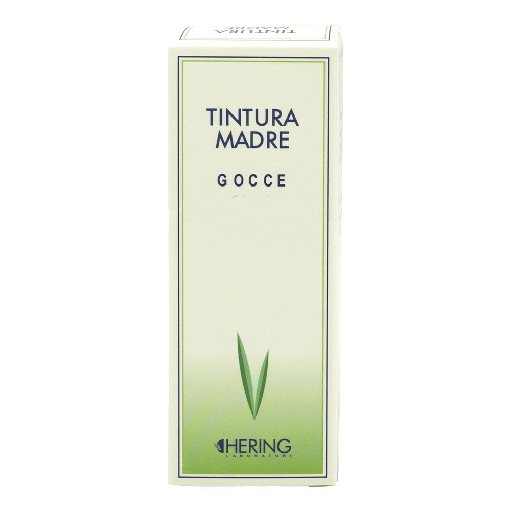 Hamamelis Virginiana Tintura Madre 60ml