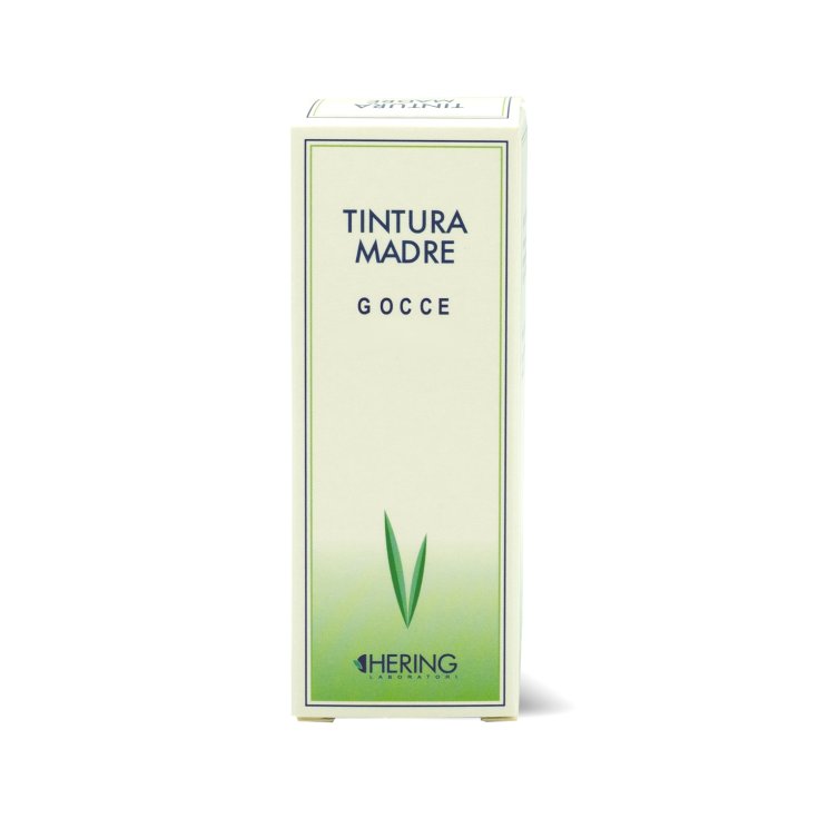 Plantago major 125ml tm