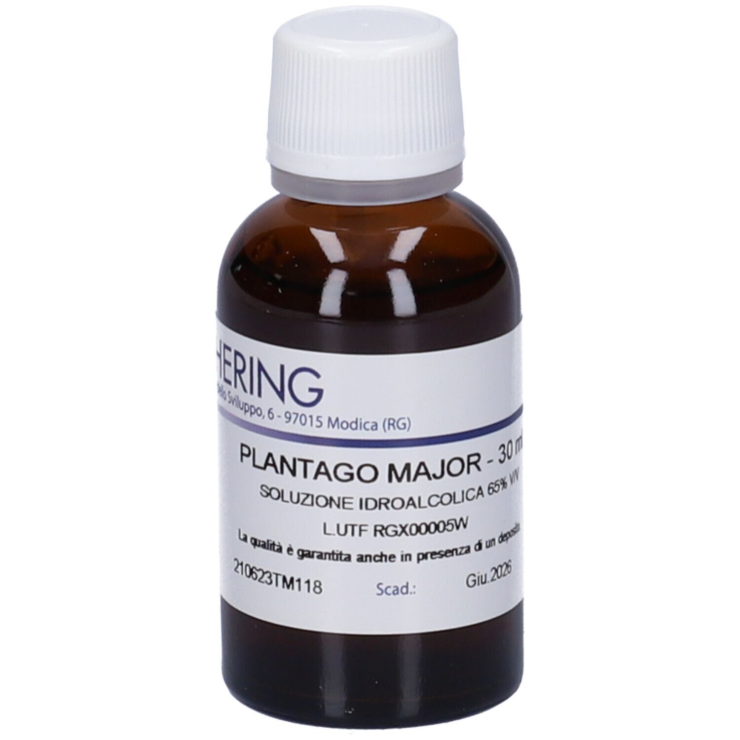 Hering Plantago Major 30Ml Tm 30 ml Soluzione orale — confronto prezzi