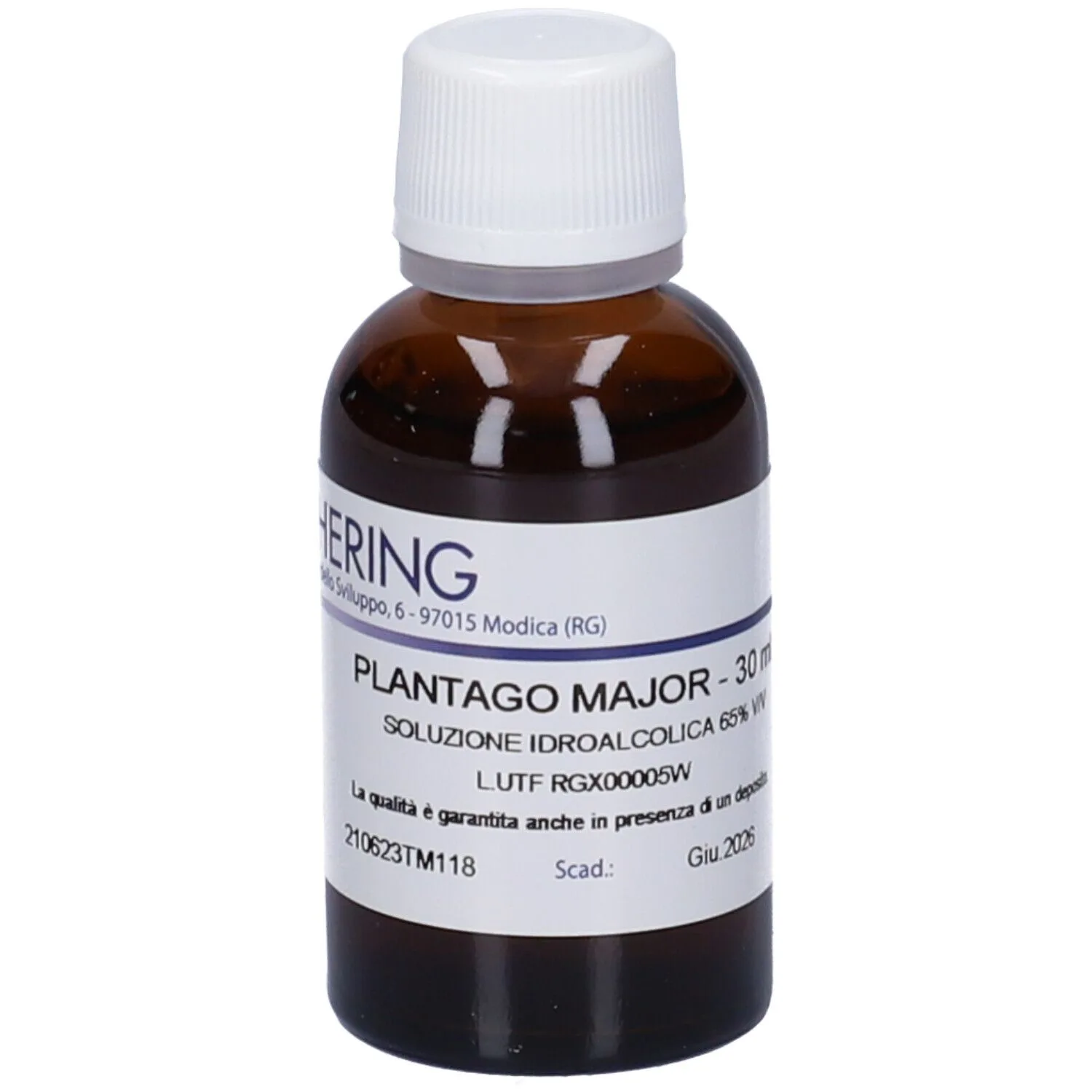 Plantago Major 30 Ml Tintura Madre
