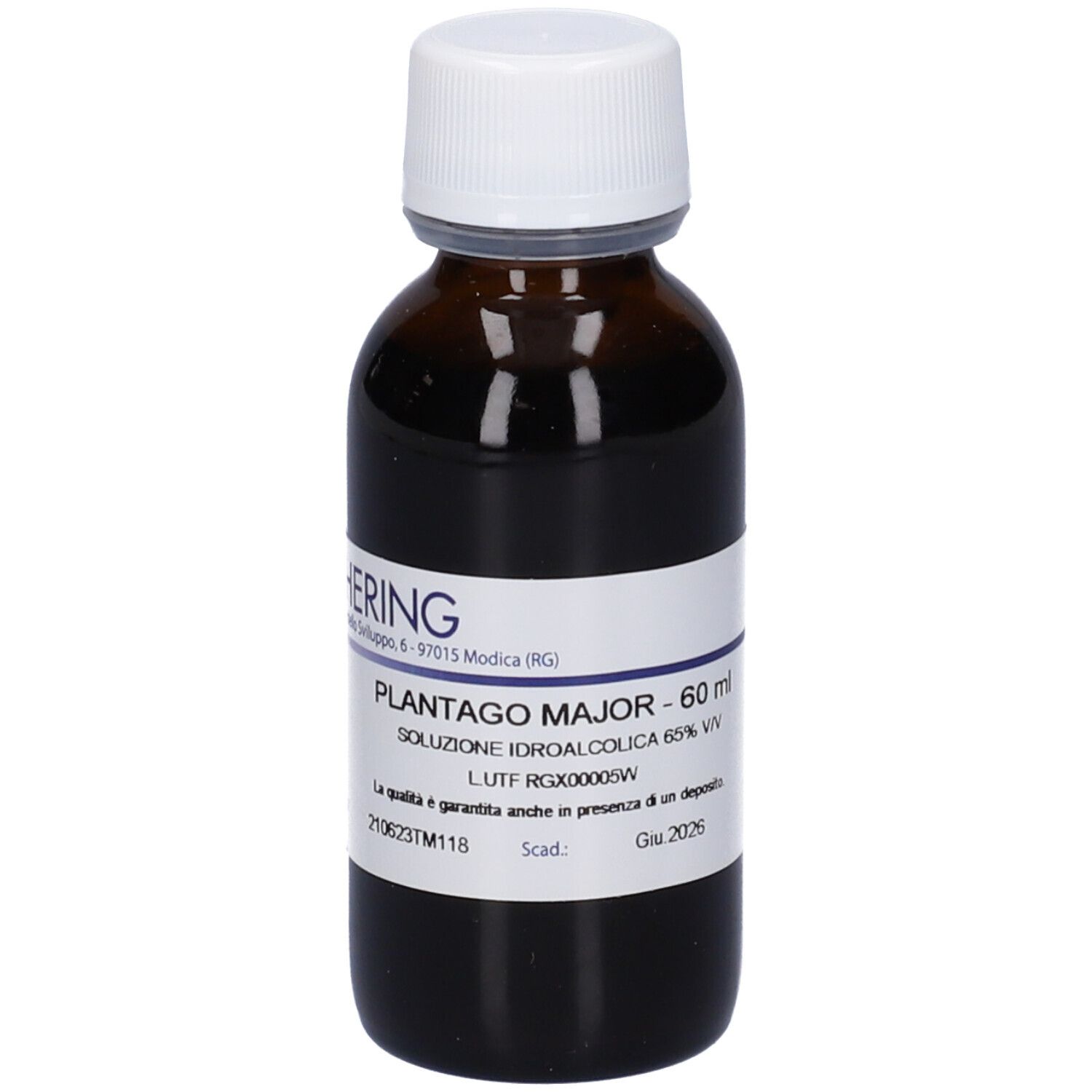 Hering Plantago Major 60Ml Tm 60 ml Soluzione orale