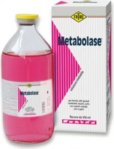METABOLASE*INIET FL 500ML