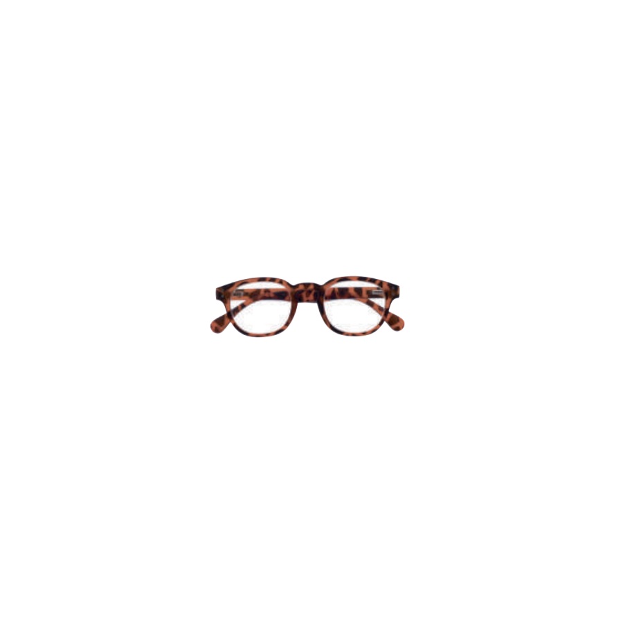 Sanico Everest Turtle Occhiali Da Lettura +2,00