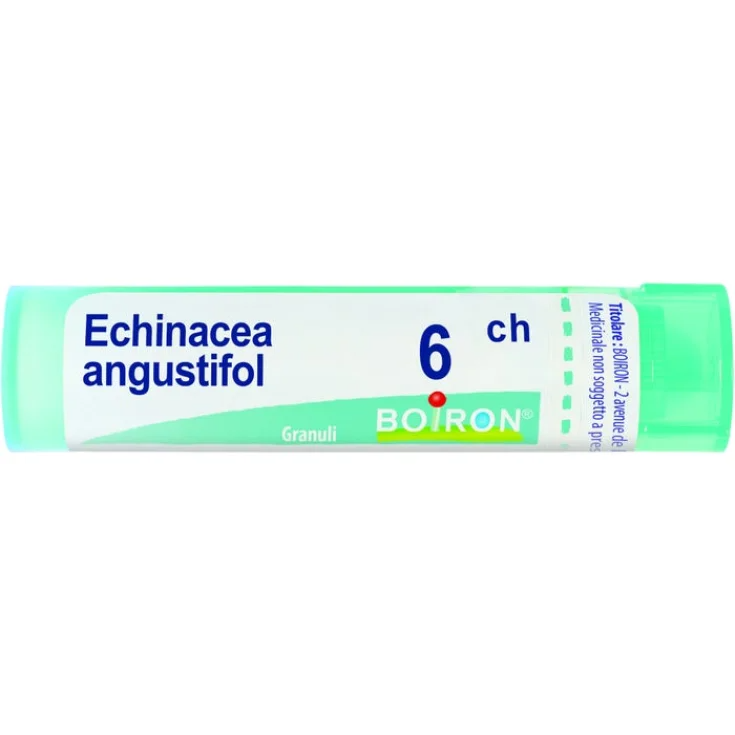 Echinacea angust 6ch bo gr — confronto prezzi