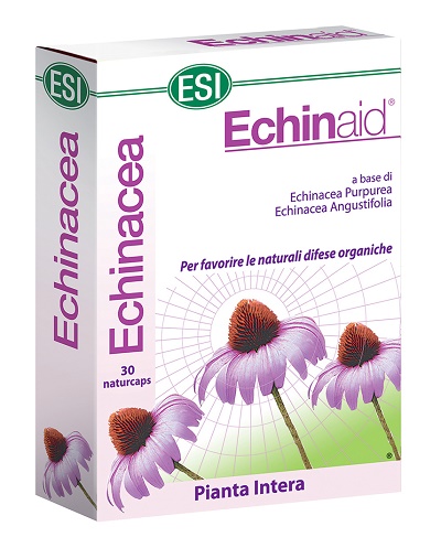 Echinaid Alta Potenza 30cps — confronto prezzi