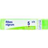 Boiron Ribes Nigrum 5CH Granuli Tubo