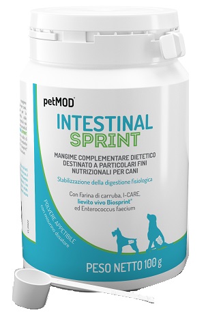 V PETMOD INTESTINAL SPRINT CANI