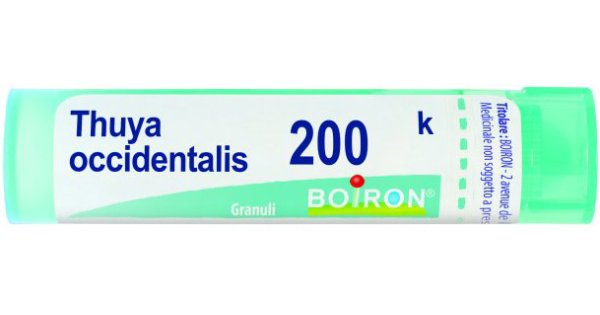 BO.THUYA OCCIDENT 200K GR — confronto prezzi