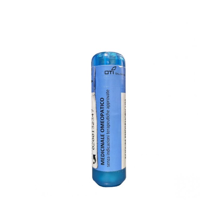 GRAPHITES 30CH 240GR — confronto prezzi