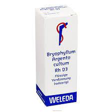 Bryophyllum arg rh d3 gt 20ml we