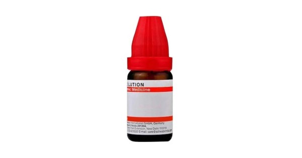 Castanea vesca gemme macerato glicerico 30 ml — confronto prezzi