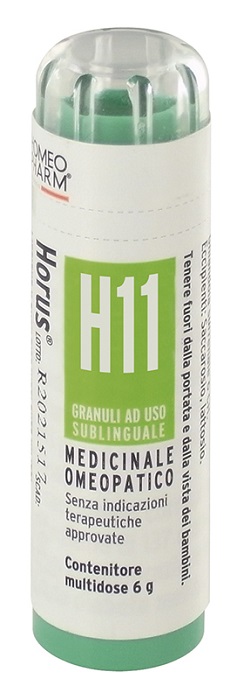 HORUS*H11 GRAN 6G — confronto prezzi