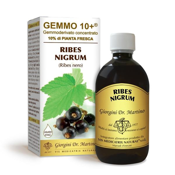 RIBES NIGRUM 500ML MG