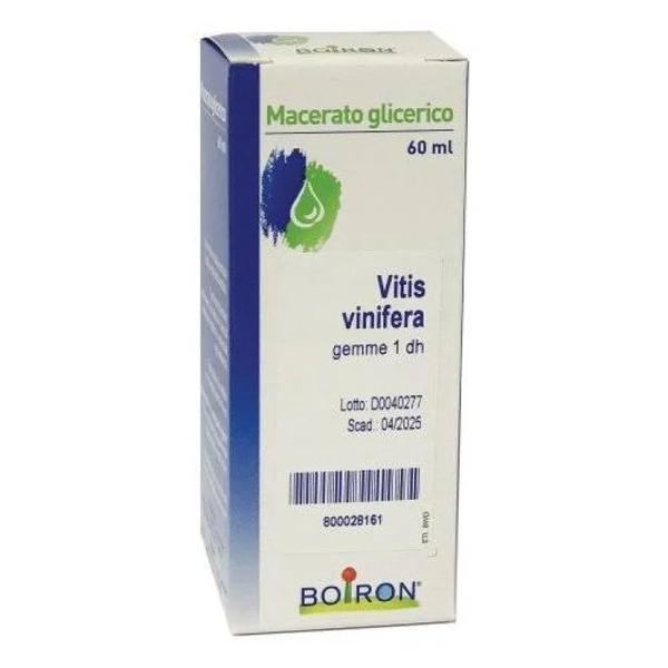 VITIS VINIFERA 60ML MG SARANDR — confronto prezzi