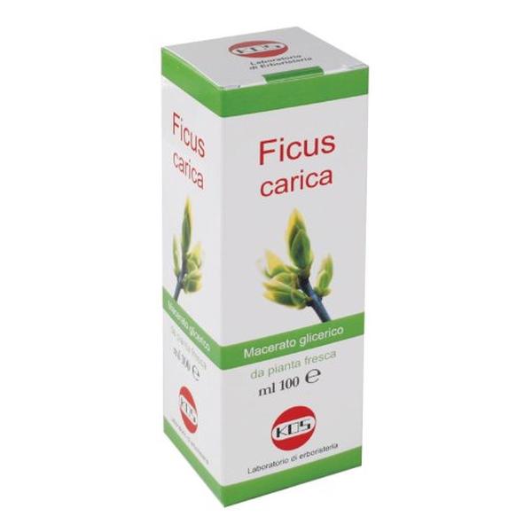 Fucus Gocce 100ml Sarandrea
