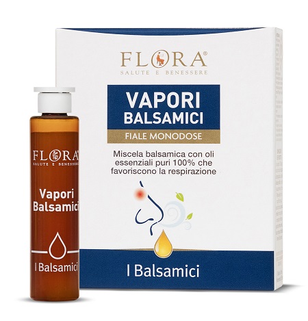 VAPORI BALSAMICI 6 FIALE DA 10 ML — confronto prezzi