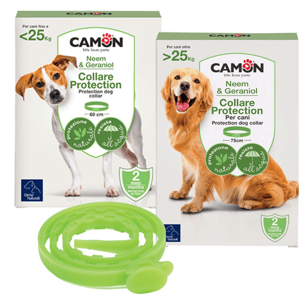 Protection Collare Cane G900 60cm Olio Neem
