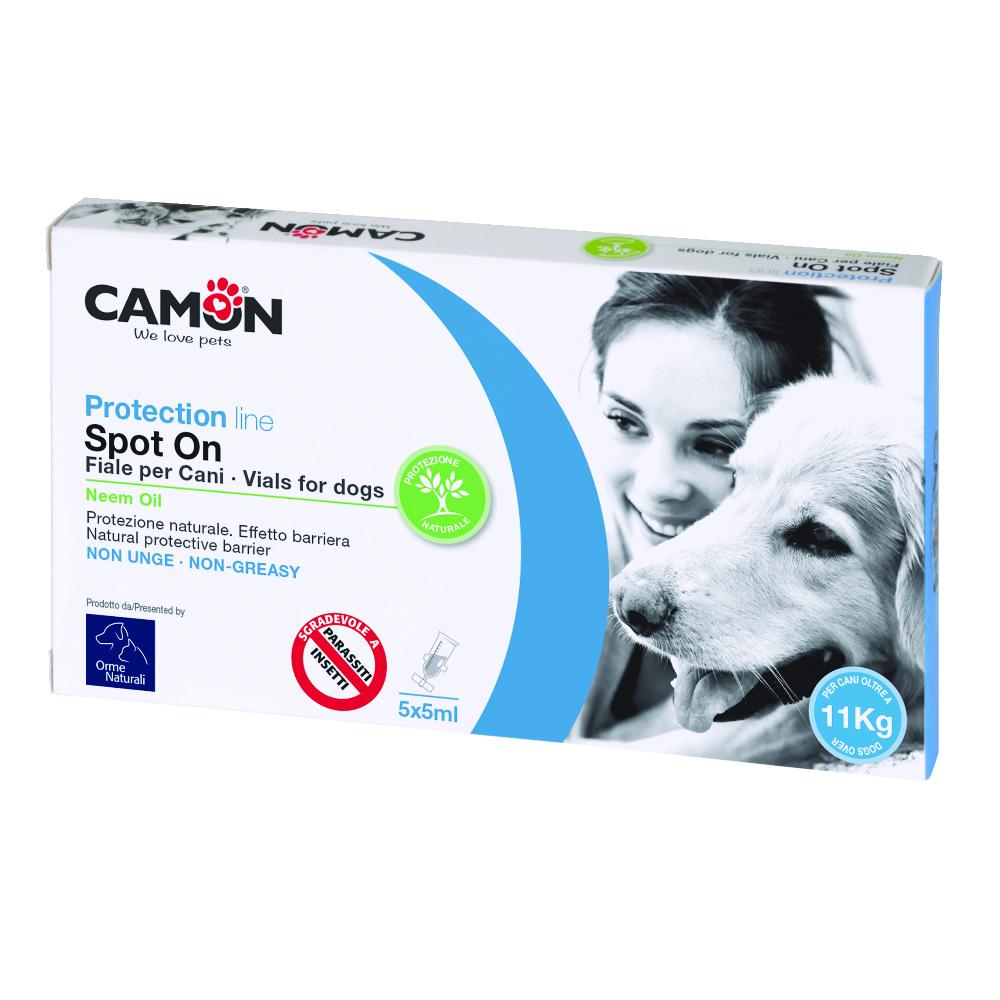 Protection Spoton Cane >10 5X5 5x5 ml Pipette monodose