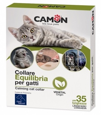 COLLARE AEQUILIBRIA GATTI 1PZ