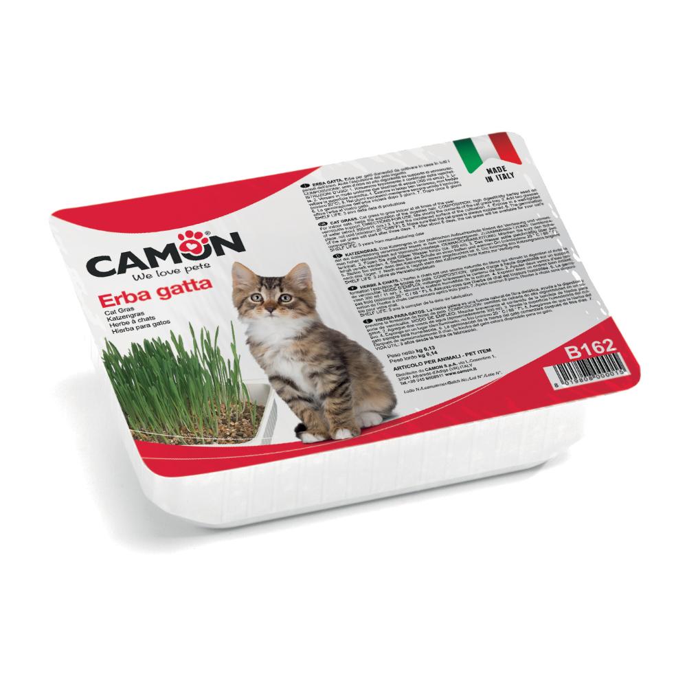 CAMON GATTO ERBA GATTA SEMI D'ORZO