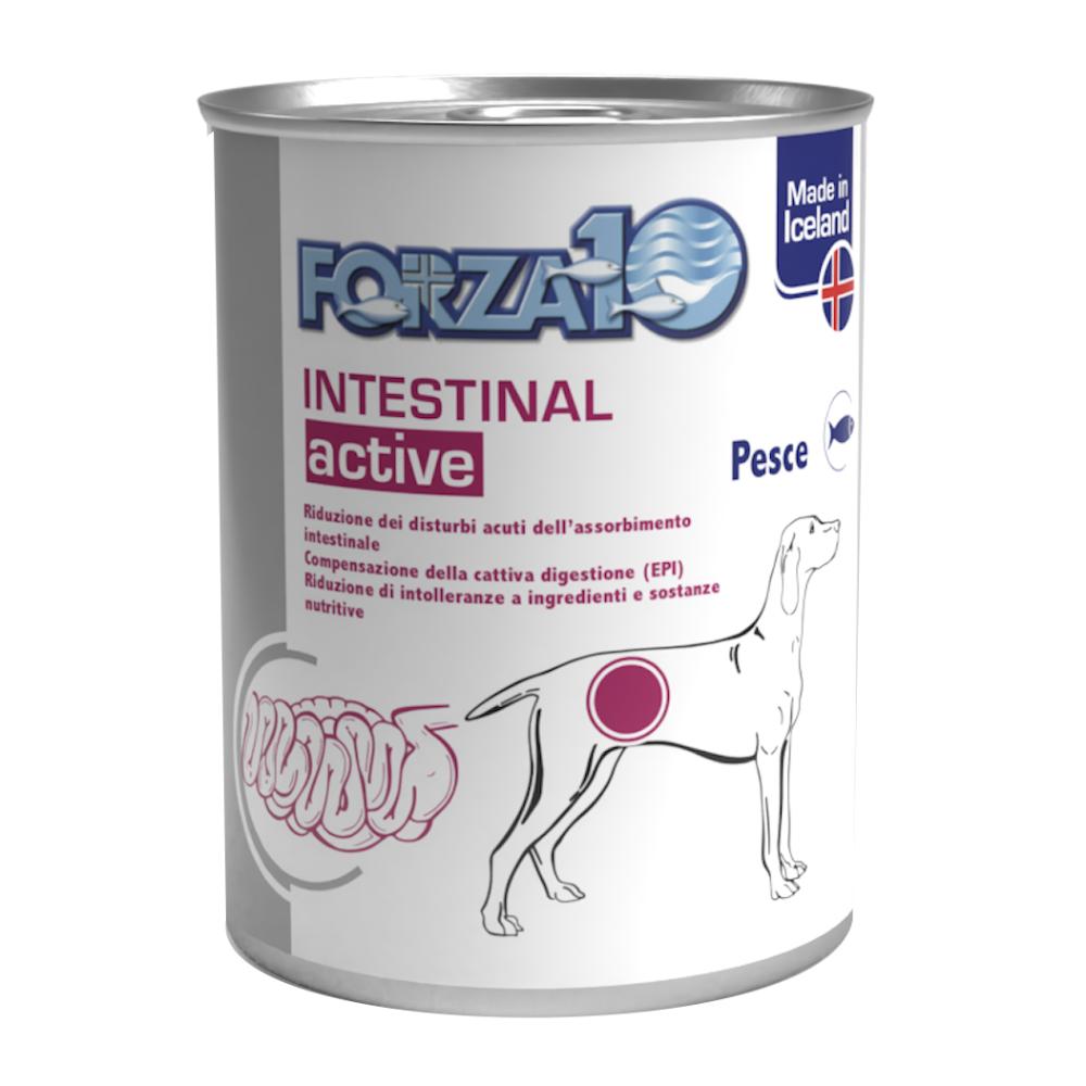 Forza 10 Intestinal - Pesce 6 St