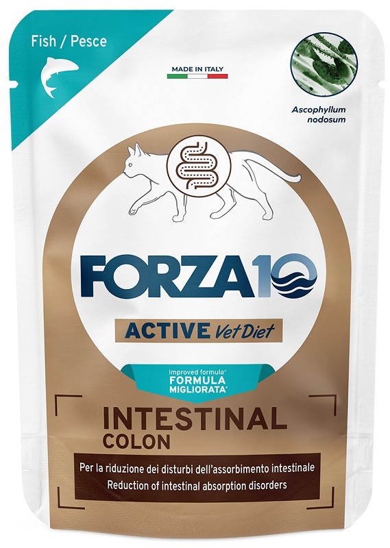 Forza 10 active cat intestinal colon pesce wet pate' 80 g