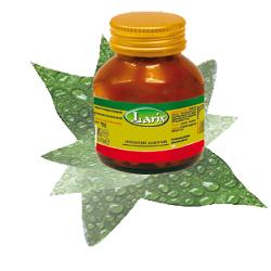 Larix Arancio Amaro Estratto Secco 21 g Capsule
