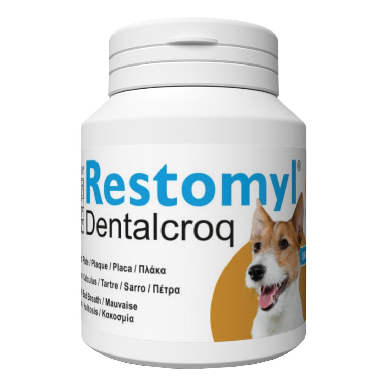 Restomyl dentralcroq cane 60 g