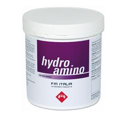 HYDRO AMINO POWDER OS 600GR - FM ITALIA