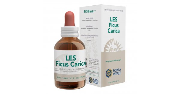 Les ficus carica 50ml fvt