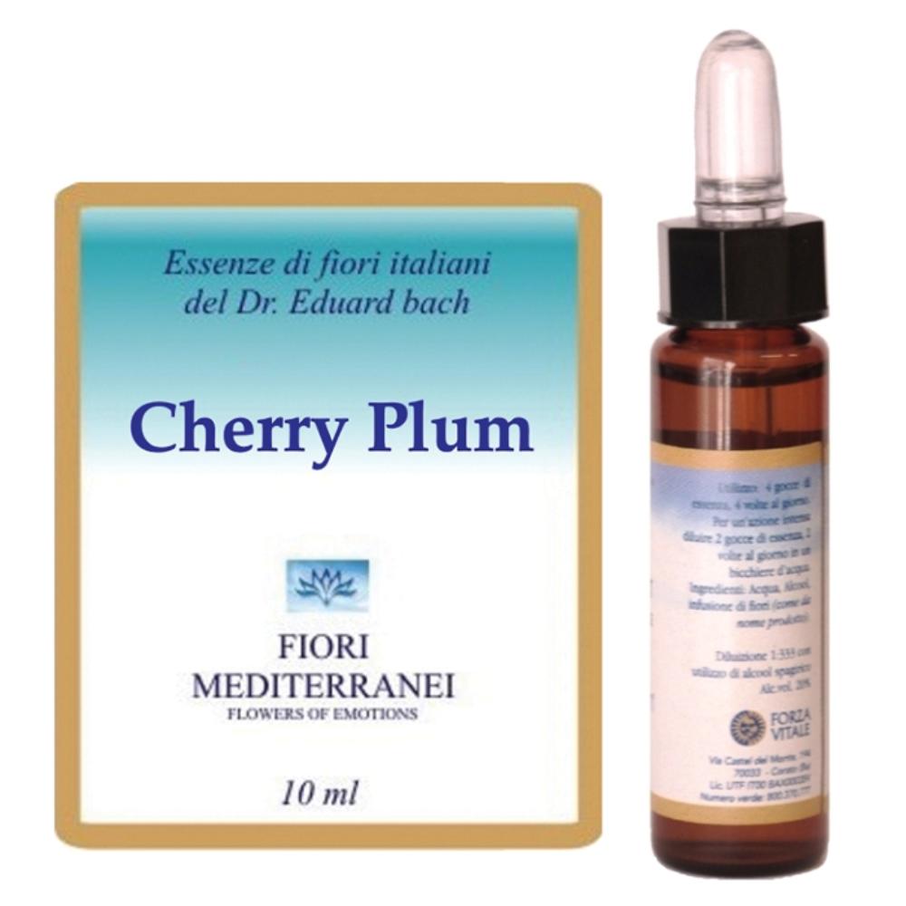 CHERRY PLUM FIORI MEDITER GTT — confronto prezzi