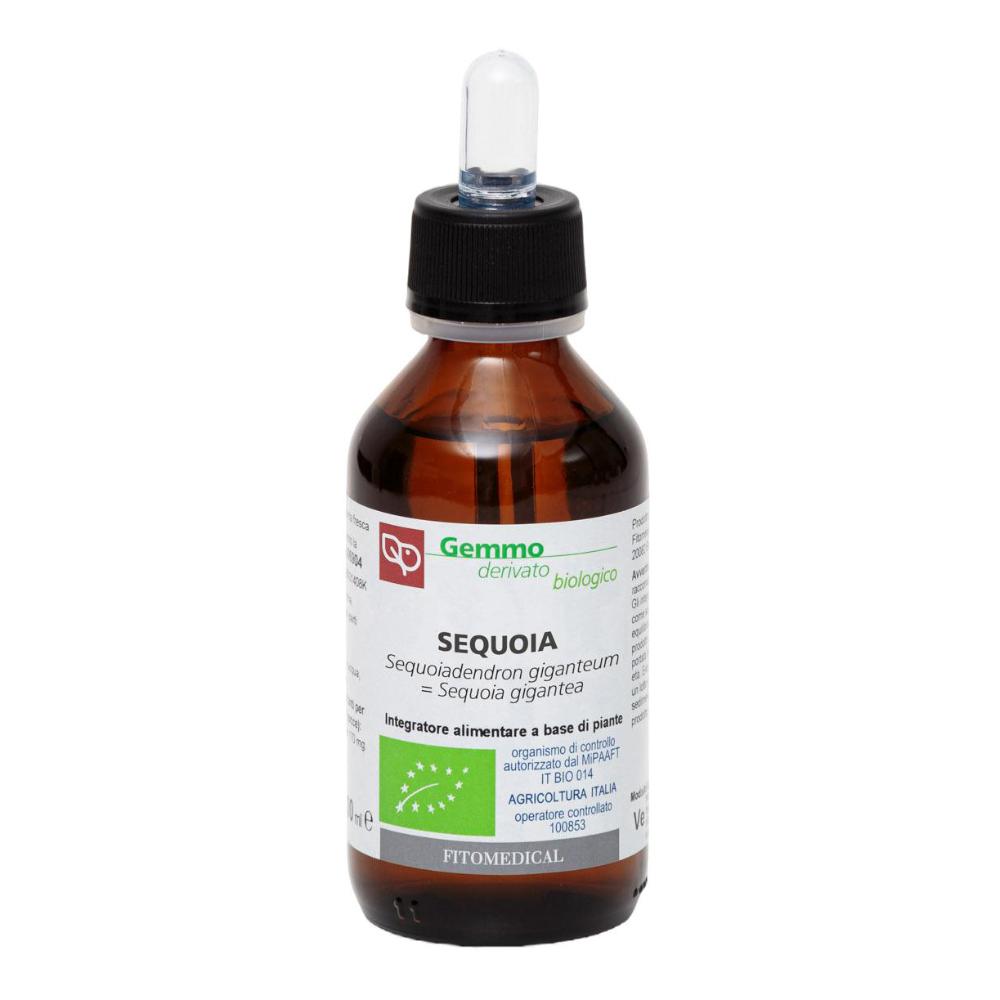 Sequoia macerato glicerico 100 ml bio