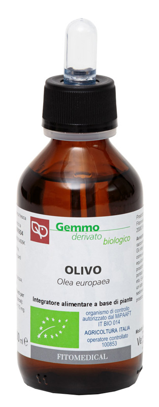 Olivo macerato glicerico 100 ml bio