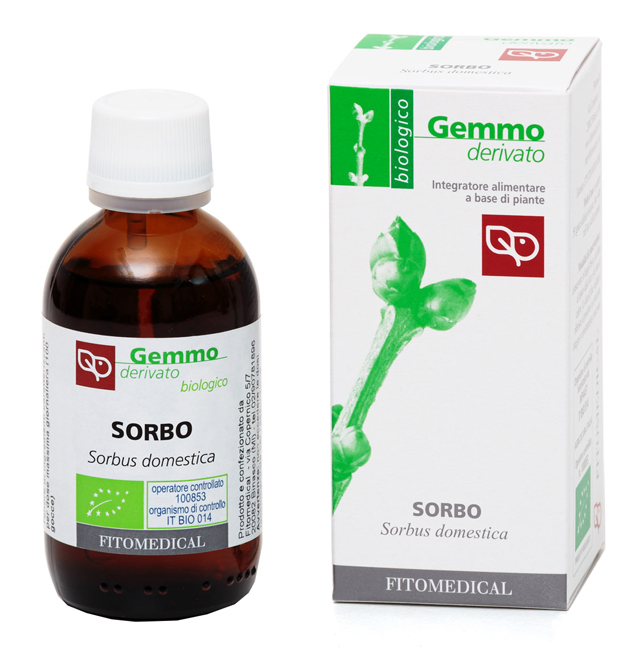 SORBO GD 50ML BIO — confronto prezzi