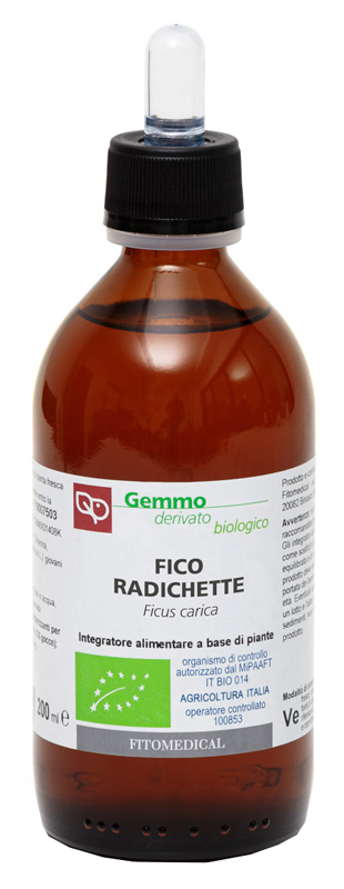 FICO RADICHETTE GD 200ML BIO