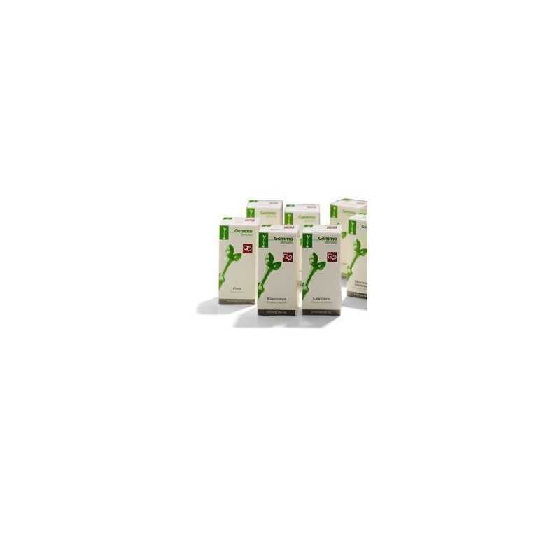 Vischio macerato glicerico 50 ml