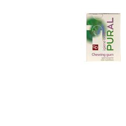 Pural Chewing Gum Igienizzante 14 g Gomme masticabili