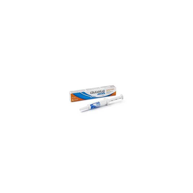 Glutamax Forte Pasta Sir 15ml